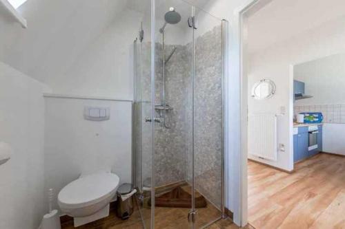 a bathroom with a toilet and a glass shower at Ferienhaus Boje 9 in Neuharlingersiel