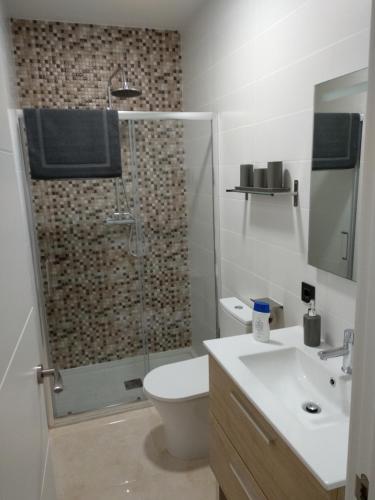 a bathroom with a shower and a toilet and a sink at Apartamentos Cordoba in Córdoba