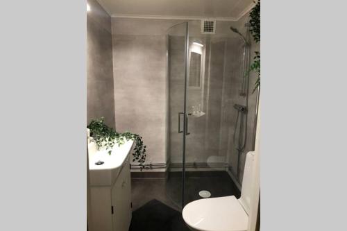 Kylpyhuone majoituspaikassa COZY Home with LAKE view-free WiFi - free SAUNA