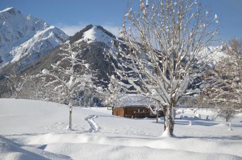 a cabin in the snow with trees and mountains at Haus Regenbogen in Pertisau
