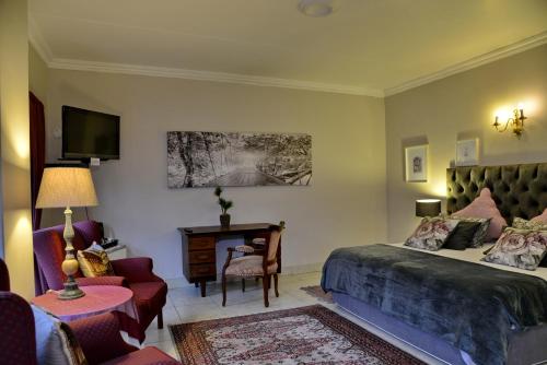 a bedroom with a bed and a tv and a chair at Owls Loft Guest House in Midrand