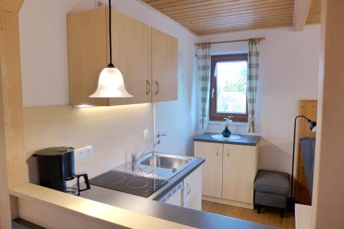 a small kitchen with a sink and a microwave at Gästehaus Philipp in Mehlmeisel