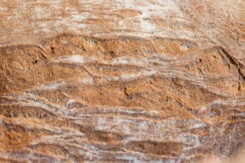 a close up of a rock with drawings on it at Hotel Salus in Pescara
