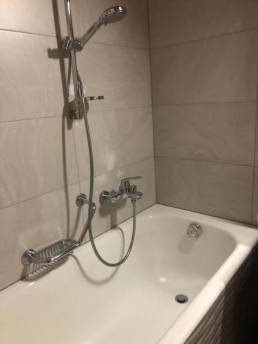 een douche in een badkamer met een bad bij Au village d'Evolène, bel appartement avec terrasse in Evolène