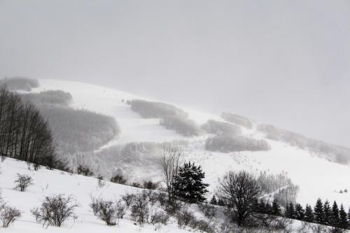 a snow covered hill with trees and a valley at Kuća za odmor ANA in Kupres