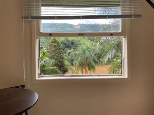 a window with a view of a palm tree at Hotel Cavalinho Branco - Aptos 241 e 317 in Águas de Lindoia