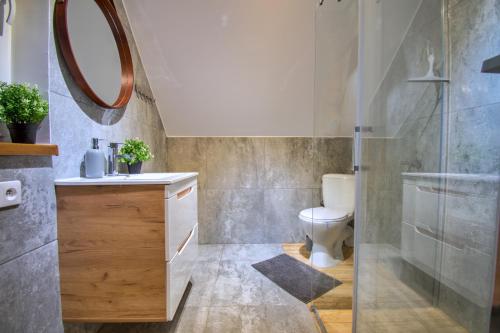 a bathroom with a toilet and a sink and a mirror at Domek nad jeziorem w Leleszkach in Leleszki