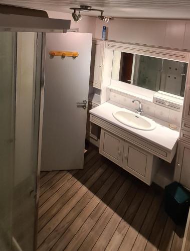 ein Bad mit einem Waschbecken und einem Spiegel in der Unterkunft les jonquilles in Bussière-Galant