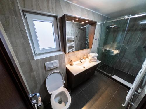 a bathroom with a toilet and a sink and a shower at Vikendica Aleksandrović Ježevac in Topola