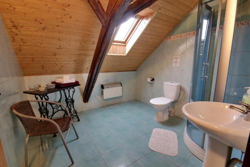 a bathroom with a toilet and a sink at Holiday Home Kvitek in Ctětín
