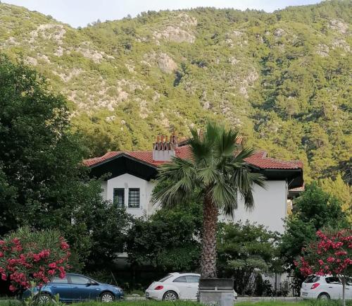 a house with a palm tree in front of a mountain at Peaceful Villa with Shared Pool Surrounded by Calming Nature in Marmaris in Muğla