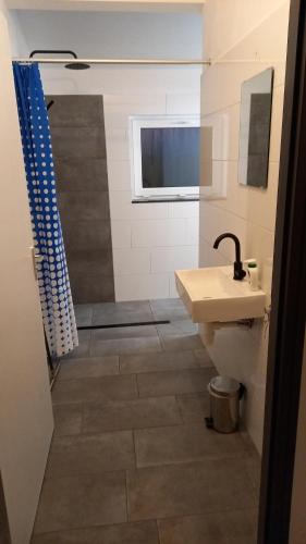 een badkamer met een wastafel en een douche bij De Maplerik in Oirlo