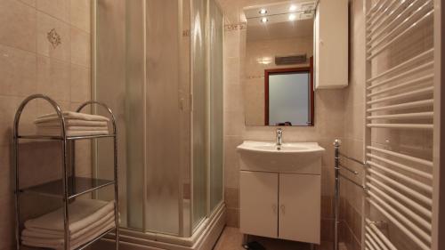 ein Badezimmer mit Waschbecken, Dusche und Spiegel in der Unterkunft Apartments Kirinčić in Sveti Vid-Miholjice