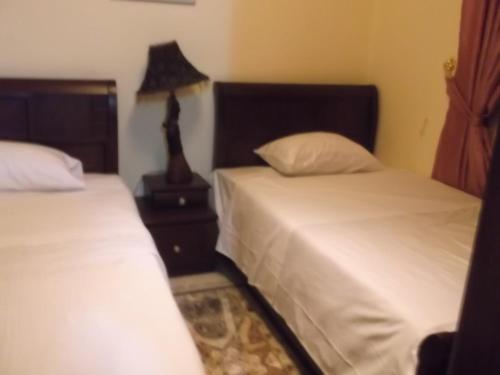 1 dormitorio con 2 camas y mesita de noche con lámpara en One-Bedroom Apartment at El Maali Street, en El Cairo