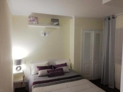 Un dormitorio con una cama con almohadas moradas. en One bedroom appartement with sea view terrace and wifi at Lajes Do Pico, en Lajes do Pico