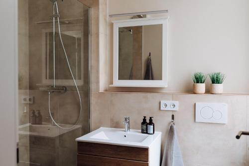 een badkamer met een wastafel en een douche bij Apartment an der Altstadt (#6) in Hameln