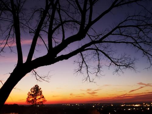 Birmingham Tree House – Photos 2