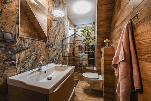 a bathroom with a sink and a toilet at Willa Wiktoria in Zakopane