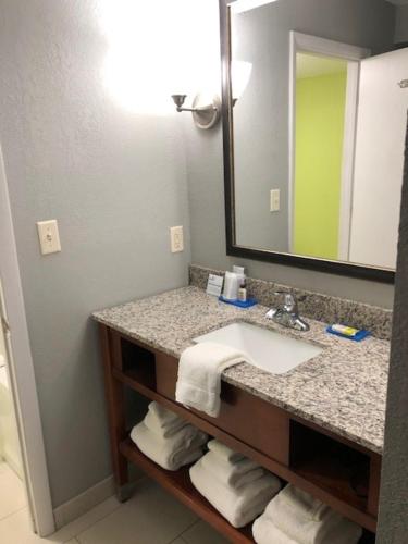 a bathroom with a sink and a mirror at Holiday Inn Express Hickory - Hickory Mart, an IHG Hotel in Hickory