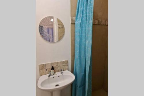 a bathroom with a sink and a mirror and a shower at Hilltop Farm Valley View Cottage in Rosetta