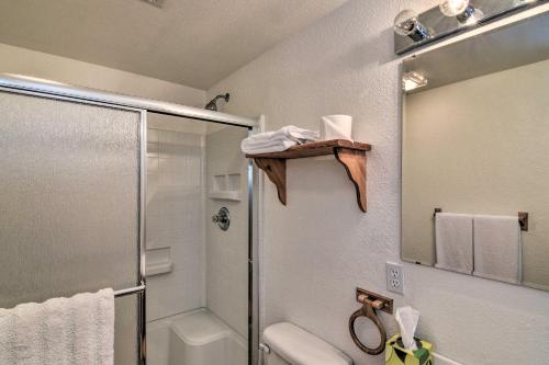 a bathroom with a shower and a toilet at 16-Acre Modern Fairplay Cabin with Mountain Views! in Fairplay