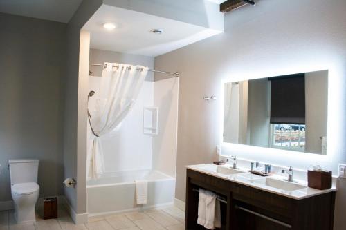 a bathroom with a sink and a toilet and a mirror at Hotel Millwright in Amana