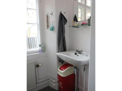 baño con lavabo y cubo de basura rojo en ApartmentInCopenhagen Apartment 743, en Copenhague