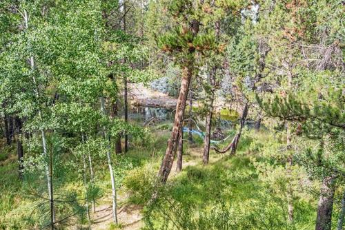 Dragonfly Cabin – Photos 3