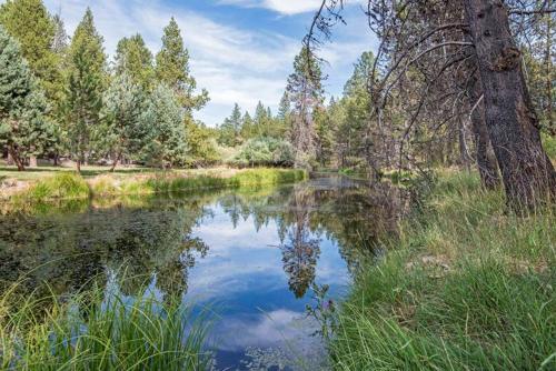 Dragonfly Cabin – Photos 5