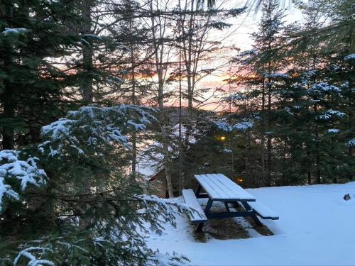 a wooden bench sitting in the snow with trees at Chalet "Ici et maintenant, sur le lac" in Sainte-Marguerite