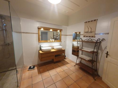 La salle de bains est pourvue d'un lavabo, d'un miroir et d'une douche. dans l'établissement VILLA Tsara, à Petite Île