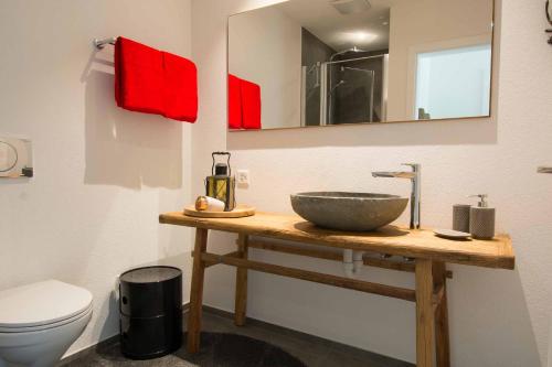 a bathroom with a counter with a sink and a toilet at Ferienwohnung im Chalet Alpenrose in Adelboden
