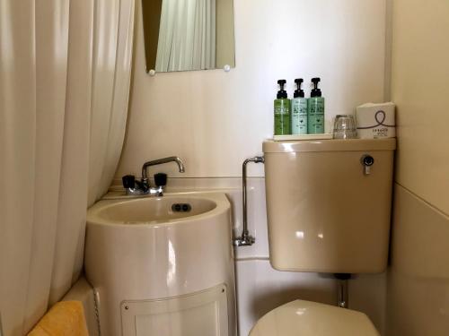 a small bathroom with a toilet and a sink at Hotel El Mayo in Hakuba