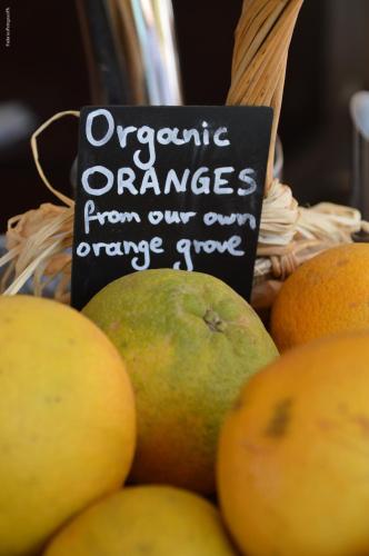 Billede fra billedgalleriet på Okeanis Golden Resort i Kato Daratso