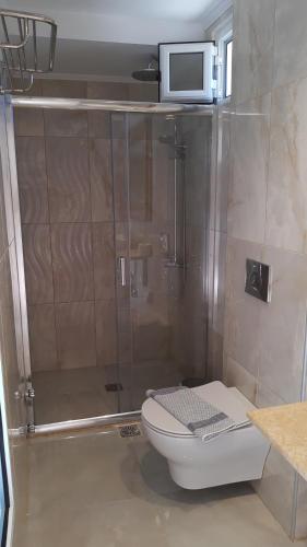 a bathroom with a shower with a toilet and a microwave at Villa Olga Lounge Hotel in Lygia