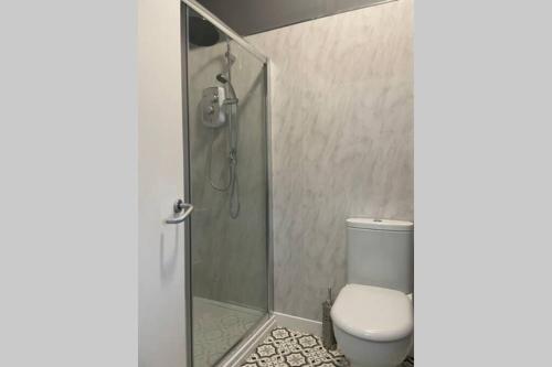 a bathroom with a toilet and a glass shower at Bellshill central apartments in Bellshill