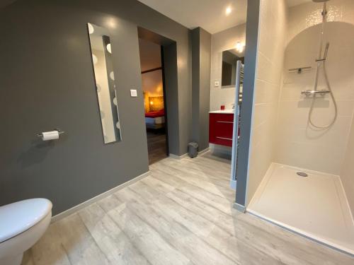 a bathroom with a shower and a toilet and a sink at L’Été en Novembre in Kirrwiller