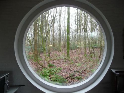 a round window with a view of a forest at Selatuinen in Appelscha