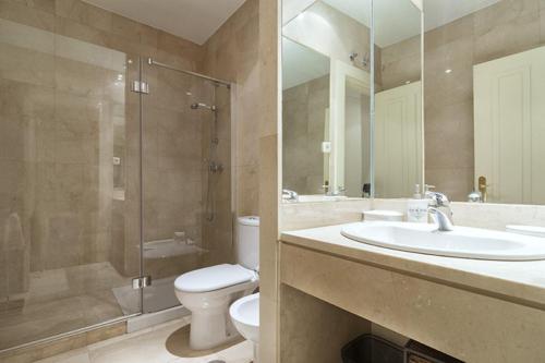 een badkamer met een wastafel, een toilet en een douche bij Apartamento Principe Terrace en Madrid in Madrid