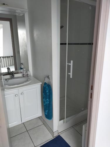 une salle de bain avec douche et lavabo dans l'établissement L'Escale de la Baie de Somme, au Crotoy