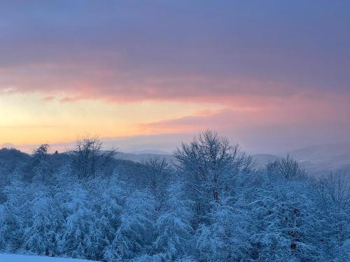 a snow covered field with trees and a sunset at Hygge House in Vyshka