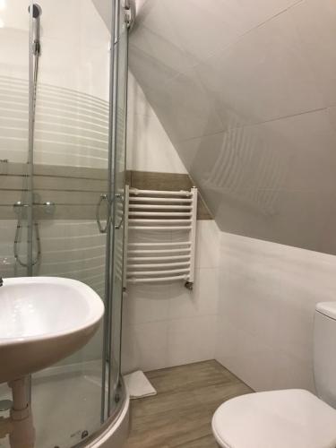 ein Bad mit einer Dusche, einem Waschbecken und einem WC in der Unterkunft Hostel Polskie Wrota in Lewin Kłodzki