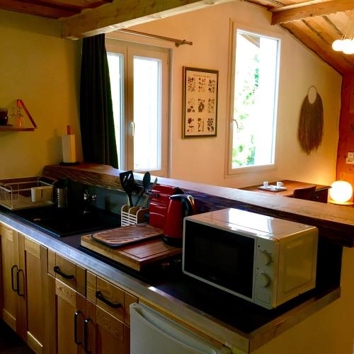 une cuisine avec un comptoir avec un micro-ondes dans l'établissement Le Chamechaude Bed&Breakfast, à Le Sappey-en-Chartreuse