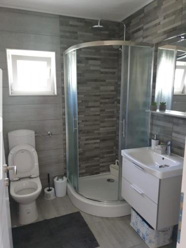 a bathroom with a shower and a toilet and a sink at Kuća za odmor ANA in Kupres