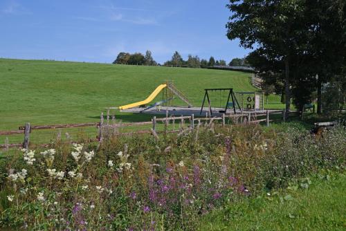 a playground with a yellow slide in a field at Hotel Haus Tiefenbach in Bullange