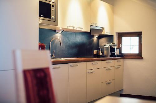 Cuisine ou kitchenette dans l'établissement Die Reblaus
