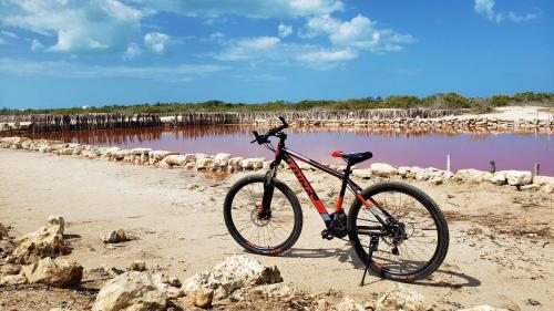 a bike parked on a beach near a body of water at Reef Yucatán All Inclusive & Convention Center in Telchac Puerto