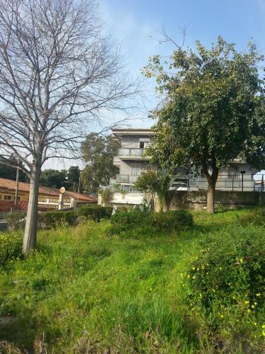 a house in a field of grass with trees at B&B United States of Europe in Catania