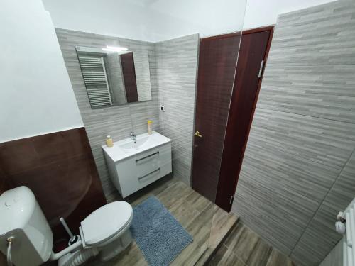 bagno con servizi igienici, lavandino e specchio di Hotel Petroshani srl a Petroşani