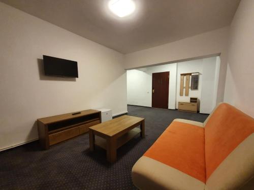 a hotel room with a bed and a tv at Petrosani Camere de Inchiriat - Hotel Petroshani srl in Petroşani